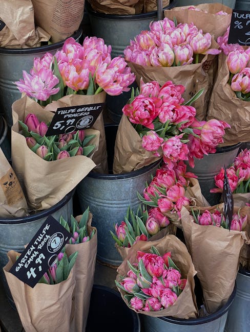 Several buckets containing freshly cut tulips in shades of pink and purple, arranged in bouquets wrapped in brown paper. The tulips display open blossoms with soft, smooth petals and vibrant green ste