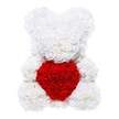 WHITE AND RED BEAR